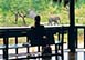 Ulusaba Safari Lodge, Sabi Sand Reserve (Western Sector), South Africa