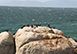 Simon’s Town Beach Villa South Africa Vacation Villa - Cape Town