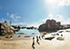 Simon’s Town Beach Villa South Africa Vacation Villa - Cape Town