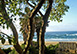 South Africa Vacation Rental -  Resort Castle Residence, Noetszie Beach