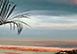 Plettenberg Bay Holiday Villa Rental