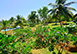 Blue Heights Sri Lanka Vacation Villa - Dikwella