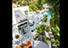 Beverly Hills Vacation Rental