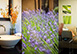 Wine Country Luxury Rental California