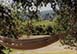 Petit Retreat California Vacation Villa - Boarder Napa/Sonoma