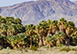 Sand Acre Estate California Vacation Villa - Palm Springs