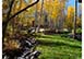 Colorado Vacation Villa - Snowmass
