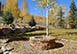 Colorado Vacation Rental