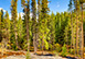 Restoration on the River Colorado Vacation Villa - Breckenridge