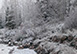 Scandinavian Lodge G03 Colorado Vacation Villa - Steamboat Springs