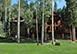Slopeside Chalet Colorado Vacation Villa - Telluride