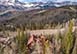 Winterfell Colorado Vacation Villa - Telluride