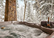 4344 Spruce Way Colorado Vacation Villa - Beaver Creek