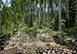 Colorado Vacation Villa - Vail