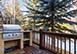 Mountain Retreat Colorado Vacation Villa - Vail