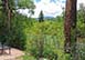 Mountain Time Colorado Vacation Villa - Vail