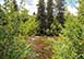 One Love Colorado Vacation Villa - Vail