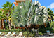 LaCasa Beach Florida Vacation Villa - Holmes Beach