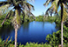Bunting Lane Florida Vacation Villa - Sanibel
