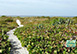 Beachfront Bliss Florida Vacation Villa - Captiva Island