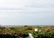Beachfront Bliss Florida Vacation Villa - Captiva Island