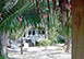 Captiva Island Vacation Rentals