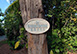 The Gingerbread House Florida Vacation Villa - Captiva Island