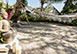 Luxuria Florida Vacation Villa - Coral Gables