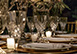 Mediterranean Hotel Villa Florida Vacation Villa - Miami Beach Florida