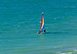 Luxury Condo III, Marco Island, Florida Vacation Rental