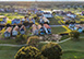Breathtaking Memories Orlando Vacation Villa -  Reunion Resort