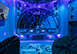 Mystic Mansion Florida Vacation Villa - Reunion Resort, Orlando