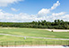 Pristine Place Orlando Vacation Villa - Reunion Resort, Kissimmee
