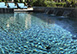 Signature Masterpiece Orlando, Florida Vacation Villa - Reunion Resort