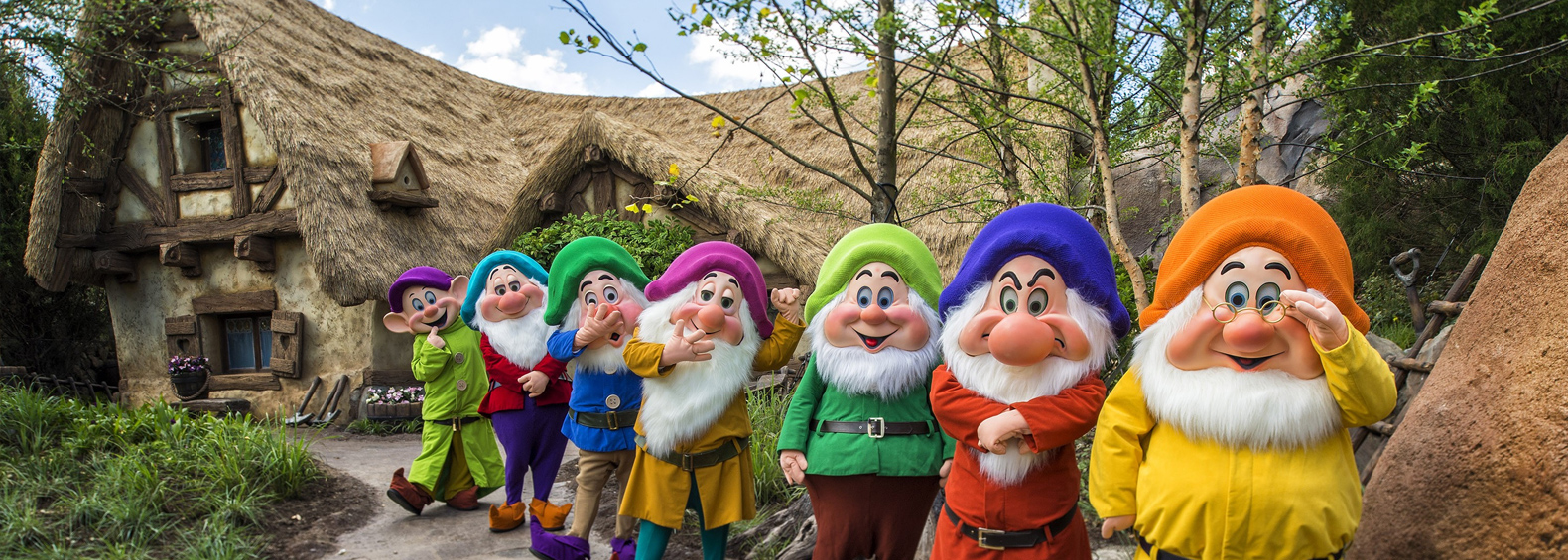 Orlando Vacation Rentals - Come Visit the Magic Kingdom