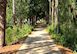 Orlando Florida Private Island Luxury Rental