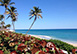 Grandview Heights Escape Florida Vacation Villa - West Palm Beach