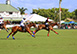 Villa Azul Florida Vacation Villa - Palm Beach