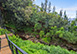 Waterfalling Estate Hawaii Vacation Villa - Big Island