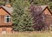 Blue Grouse 14 Montana Vacation Villa