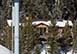 Spanish Peaks Highlands Cabin 8 Montana Vacation Villa - Big Sky