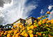 Estate Rental in Las Vegas Nevada