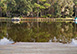 Sea Shell Sanctuary South Carolina Vacation Villa - Hilton Head Island