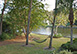 Sea Shore Hideaway South Carolina Vacation Villa - Hilton Head Island