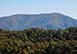 Tennessee Vacation Rental