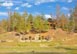 Tennessee Vacation Rental