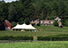 Reading Farms Estate Vermont Vacation Villa - Reading