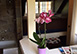 Reading Farms Estate Vermont Vacation Villa - Reading
