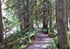 Cabin 20 Washington Vacation Villa - Mt. Baker, Maple Falls